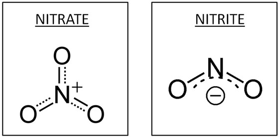 Urine Dipstick Nitrates And Nitrites Medicine Specifics 3541