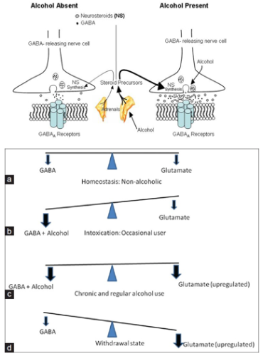 alcohol-withdrawal-gaba-mechanism-medicine-specifics