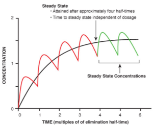 steady-state