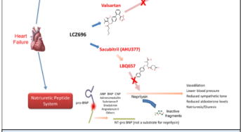 Valsartan/sacubitril (Entresto): Mechanism