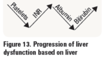What are the Liver Function Tests (LFTs)?