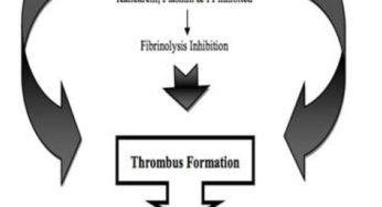 Drugs Metabolism Medicine Specifics