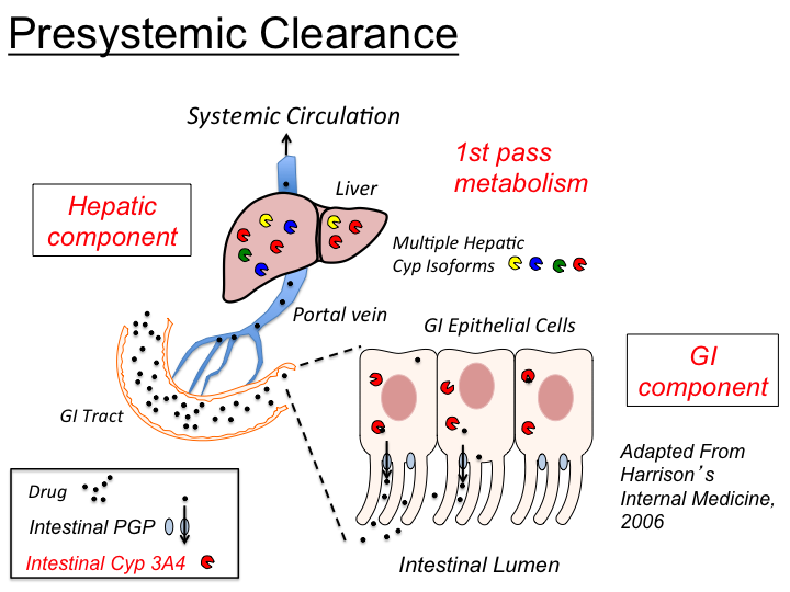 Why is Oral Vancomycin given for C. Difficile? | Medicine Specifics
